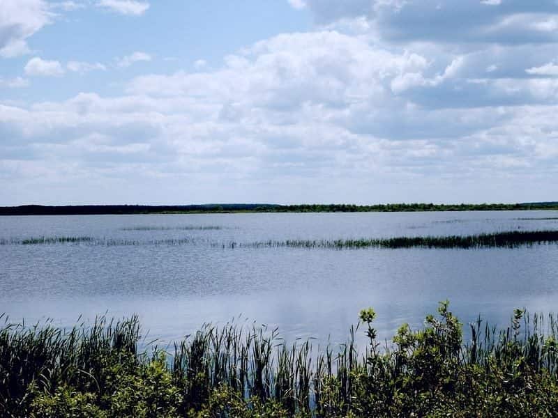 Кожановское озеро