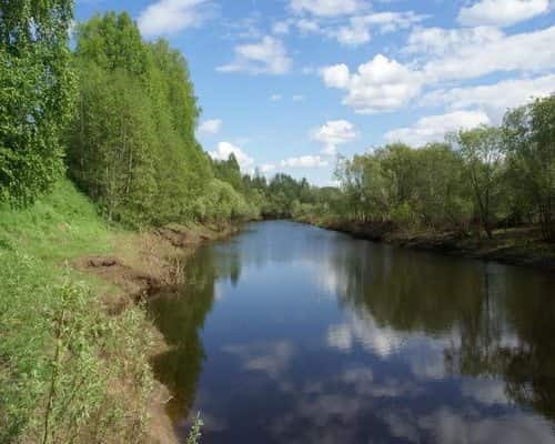 река мшага новгородская область рыбалка