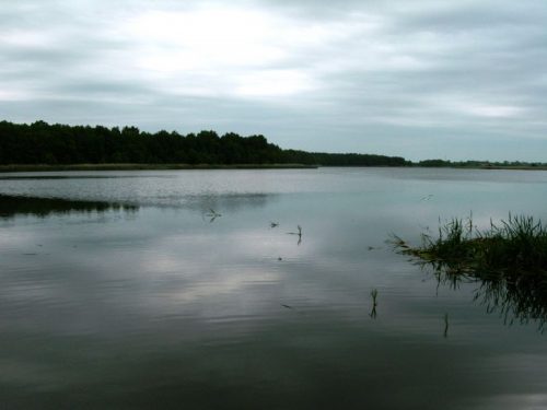 Чайка озеро