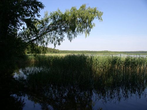 Двинь-Велинское озеро