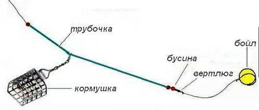 Ловля сома весной — Особенности рыбалки