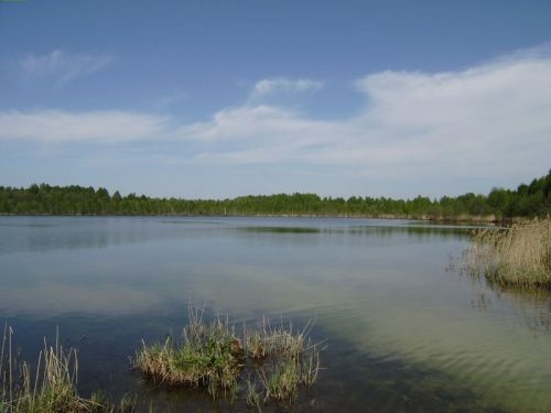 Соловецкое озеро