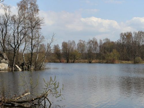 Свалка озеро