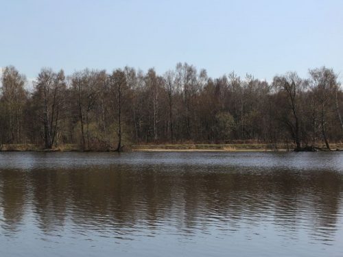Свалка озеро