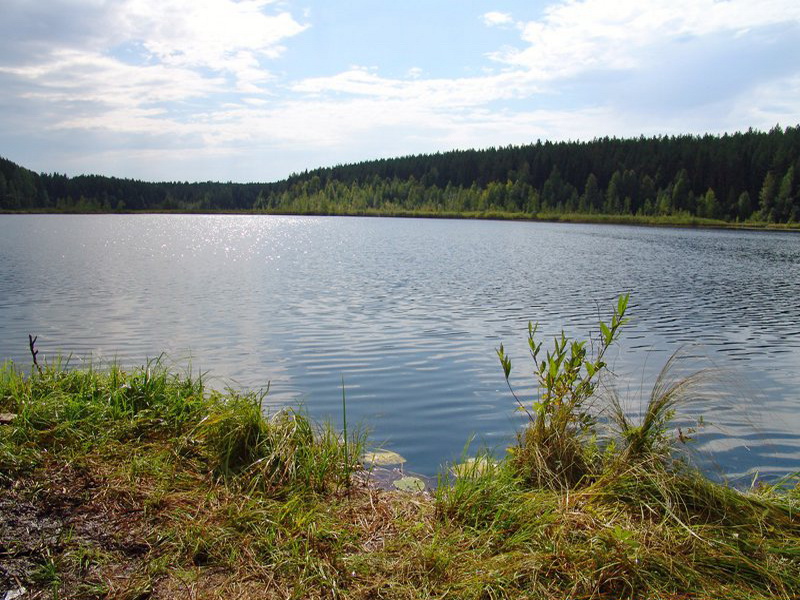 Торсуновское озеро - читайте на Сatcher.fish