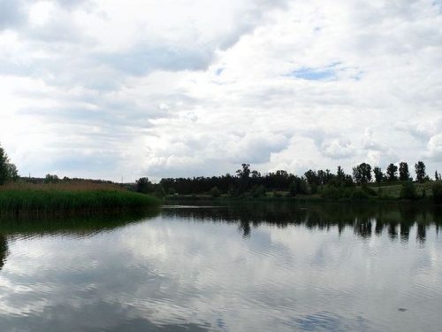 Васильевские озёра