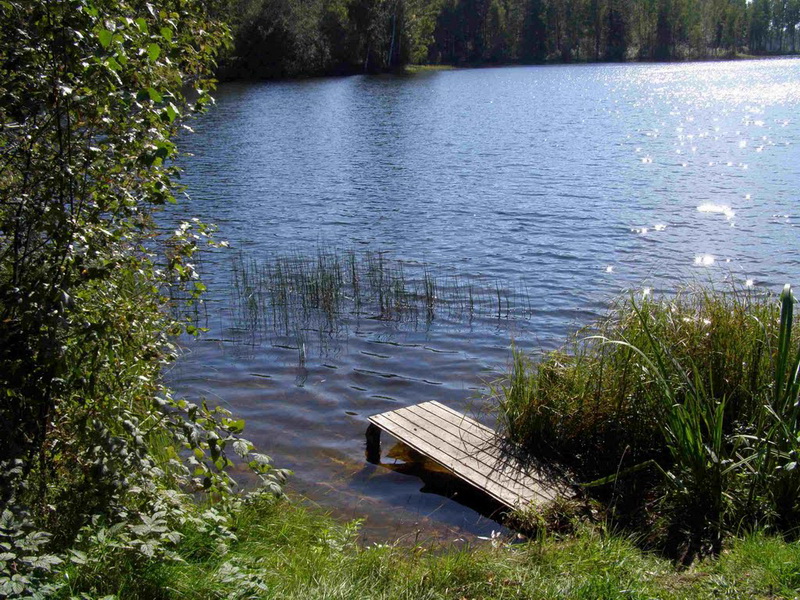 Озеро велье новгородская