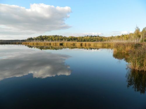 Белое озеро (Ульяновская область)