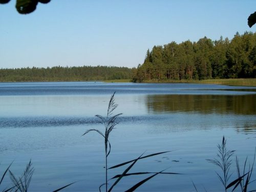Большое Орлово озеро