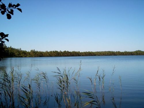 Большое Орлово озеро
