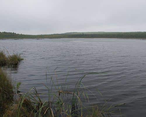 Чекалинское озеро