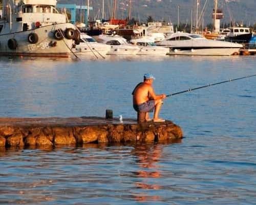 Рыбалка на Черном море с берега и лодки: виды рыб и снасти для ловли