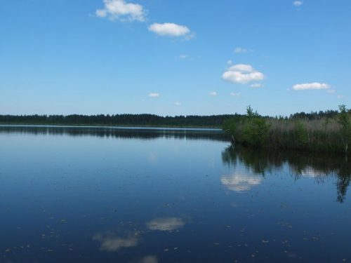 Крячек озеро