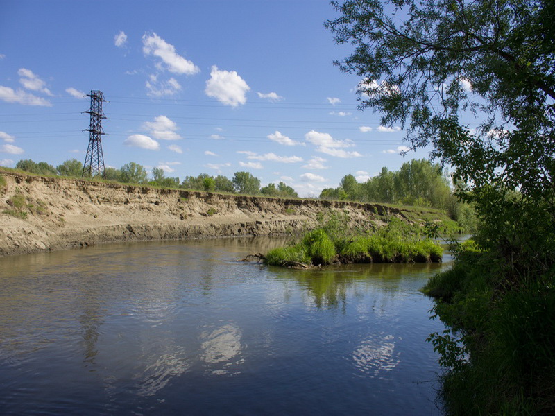 Река Лосиха в Алтайском крае: рыболовные особенности и места для отдыха