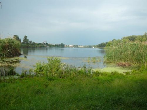 Сазанка озеро