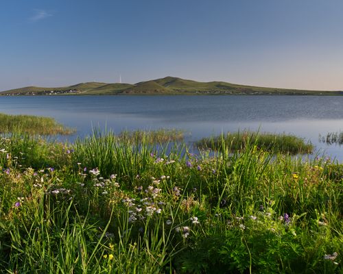 Власьево озеро