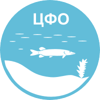 Водоемы центрального федерального округа - Толстолобик