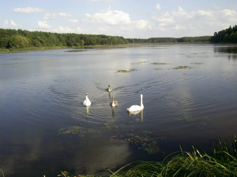 Озеро васьково приморский край