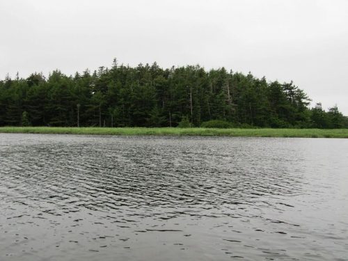 Хвалисекое озеро