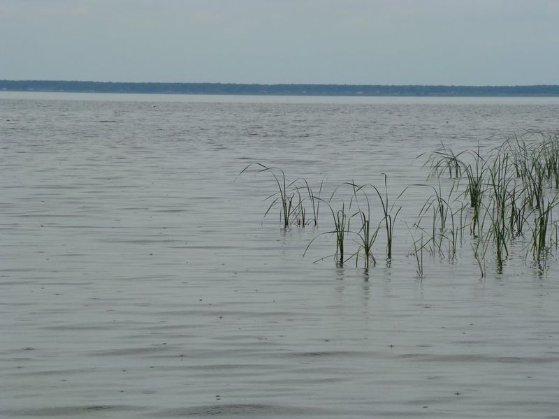 Озеро салтаим омская. Озеро ИК Крутинский район. Крутинка Омская область озеро ИК. Крутинка озеро Салтаим. Озеро тенис Крутинский район.