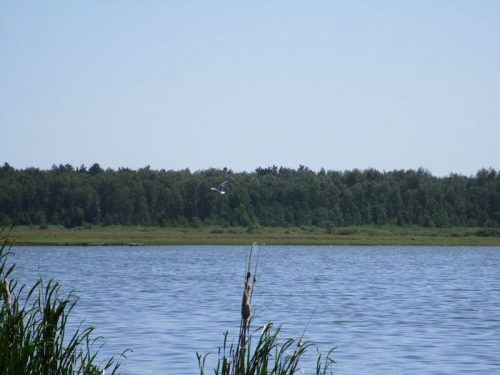 Большое Грачево озеро