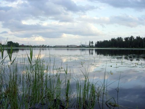 Дорогалевское озеро