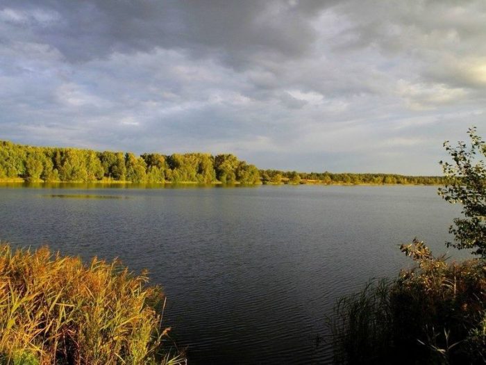 Медвежьи озера загородный клуб фото