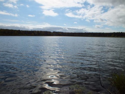 Сальковское озеро