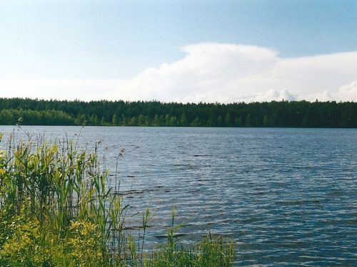 Золотая вешка озеро