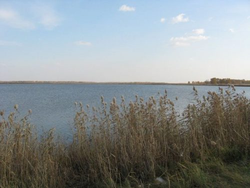 Басикал озеро