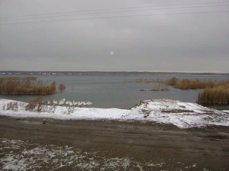 Озеро куракли маян челябинская область на карте. Озеро Суртаныш. Оз Суртаныш Челябинская область. Озеро Суртаныш Челябинская область. Абаткуль озеро Челябинская область.