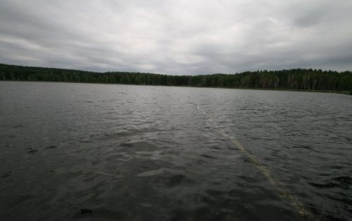 Кайгусты озеро
