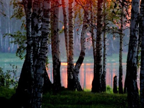 Круглое озеро (Челябинская область)