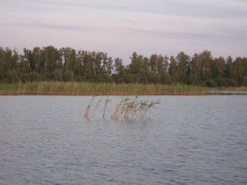 Большой Лапташ озеро