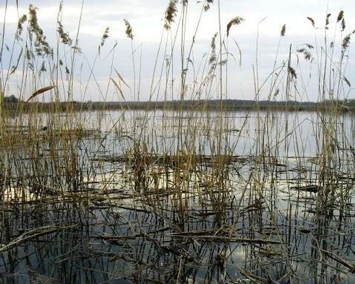 Малое Травяное озеро
