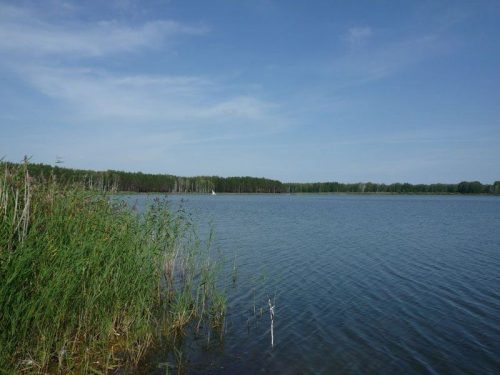 Мезенцево озеро