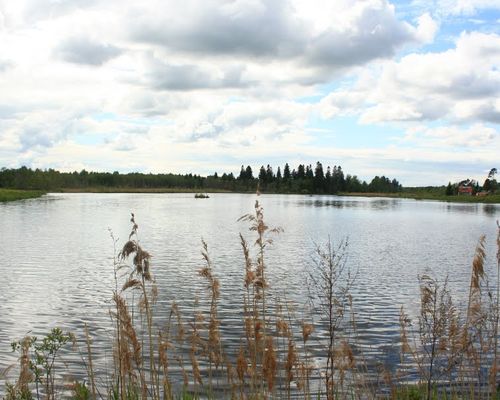 Черновское озеро