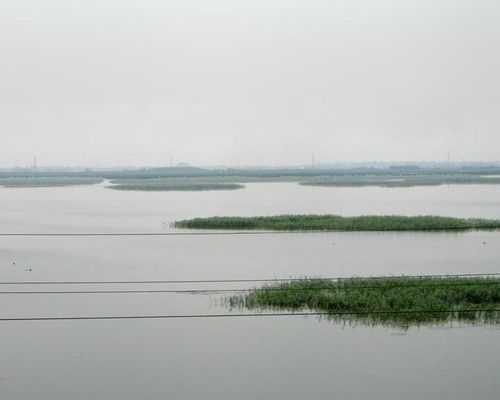 Шелюгино озеро