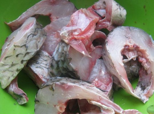 Рецепты с использованием белого амура - вкусные блюда из рыбы