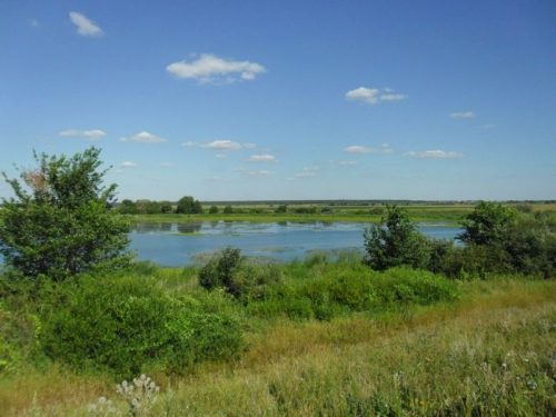 Борковское озеро