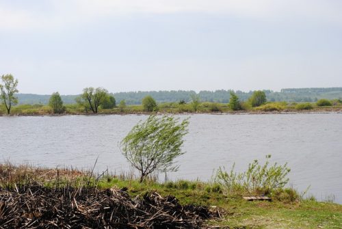 Петровичское озеро