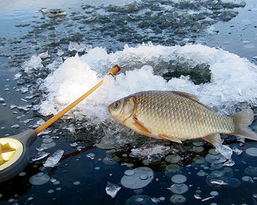 Как выбрать удочки для зимней рыбалки и какую выбрать мормышку