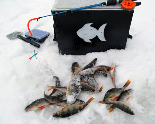 Ящик для зимней рыбалки своими руками