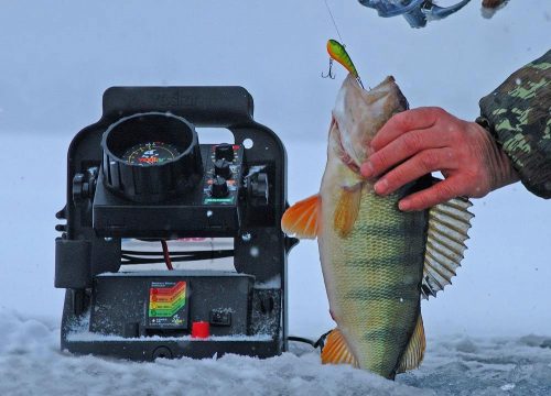 Эхолоты для зимней рыбалки
