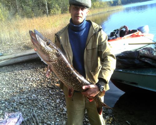 Рыбалка на озере Селигер с Юрием Пузыревым