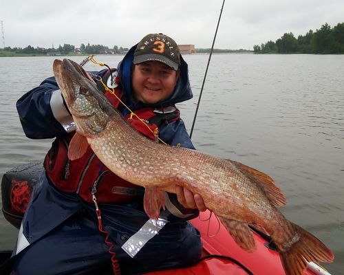 Рыбалка на реках и водохранилищах Московской области с Дмитрием Алексеевым