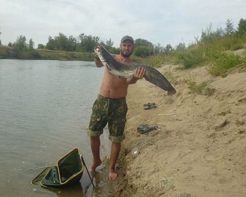 Рыбалка в Астраханской области с Ильей Резником