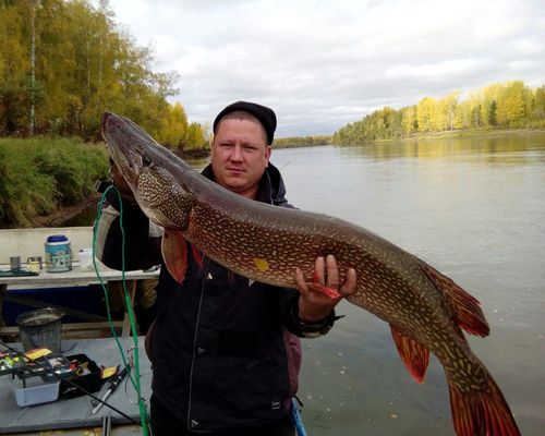 Рыбалка на реке Чулым с Максимом Чирковым