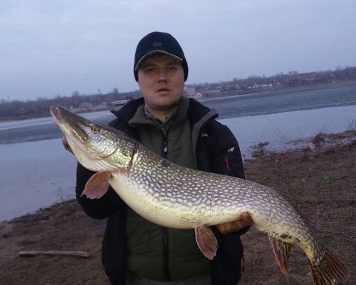Рыбалка в Волгоградской области с Павлом Крыловым