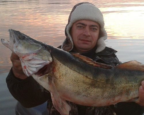 Рыбалка в Московской области с Денисом Ливчиковым